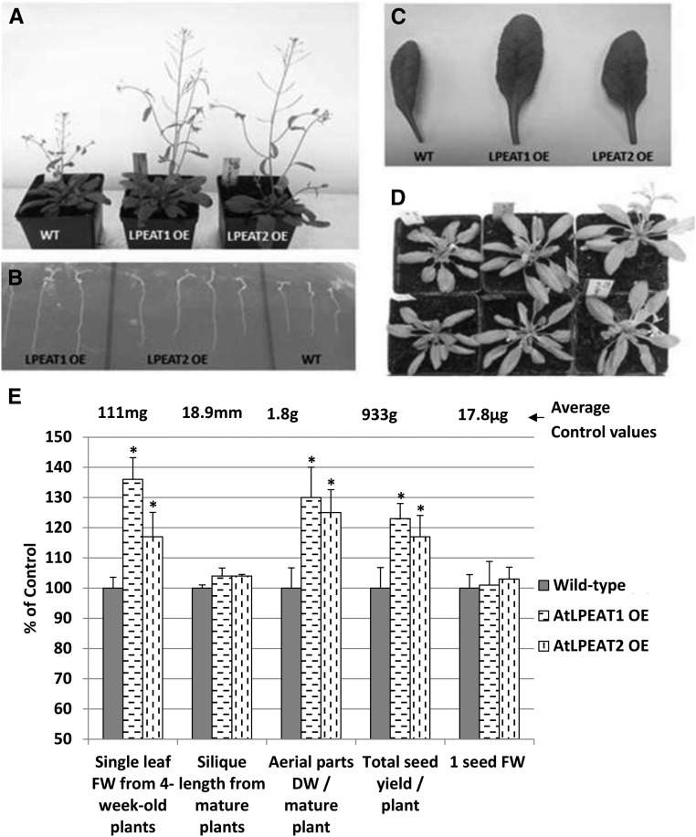 Figure 10.