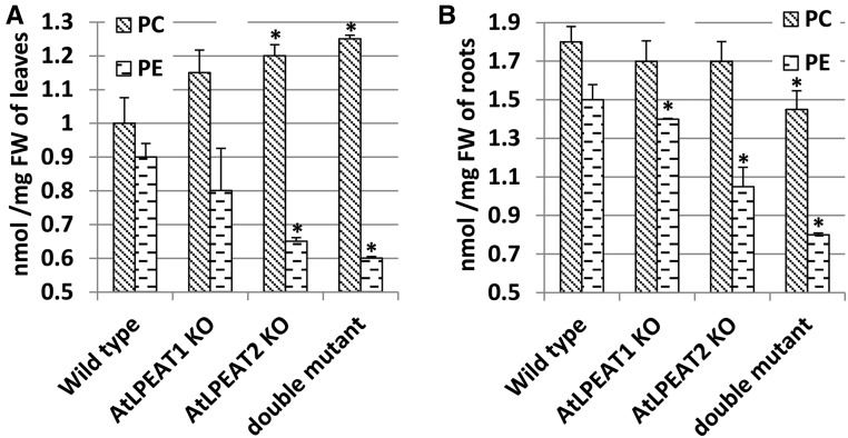 Figure 6.