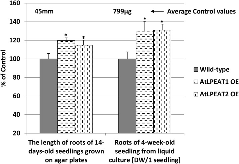 Figure 11.