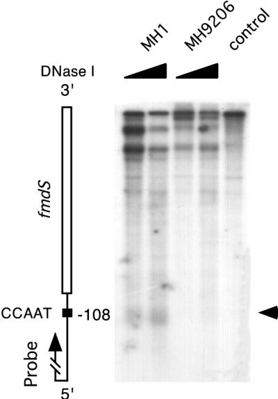 FIG. 5