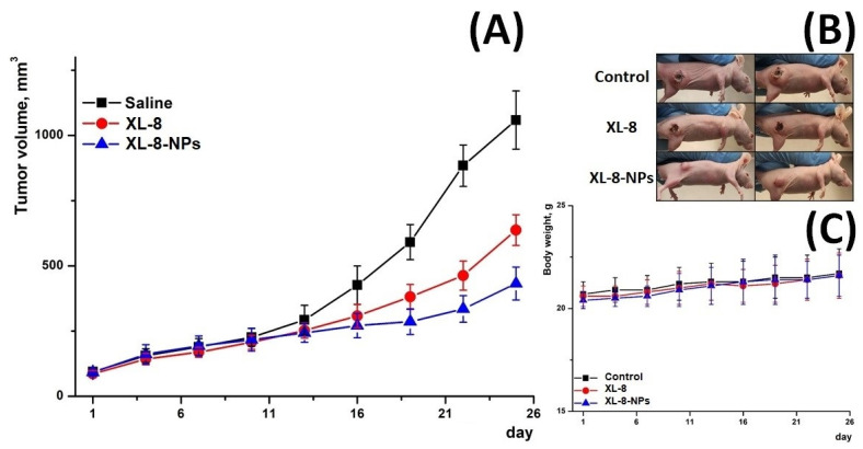 Figure 7