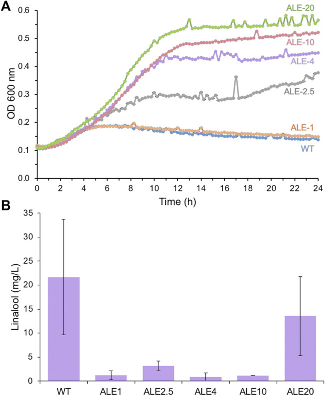 FIGURE 3