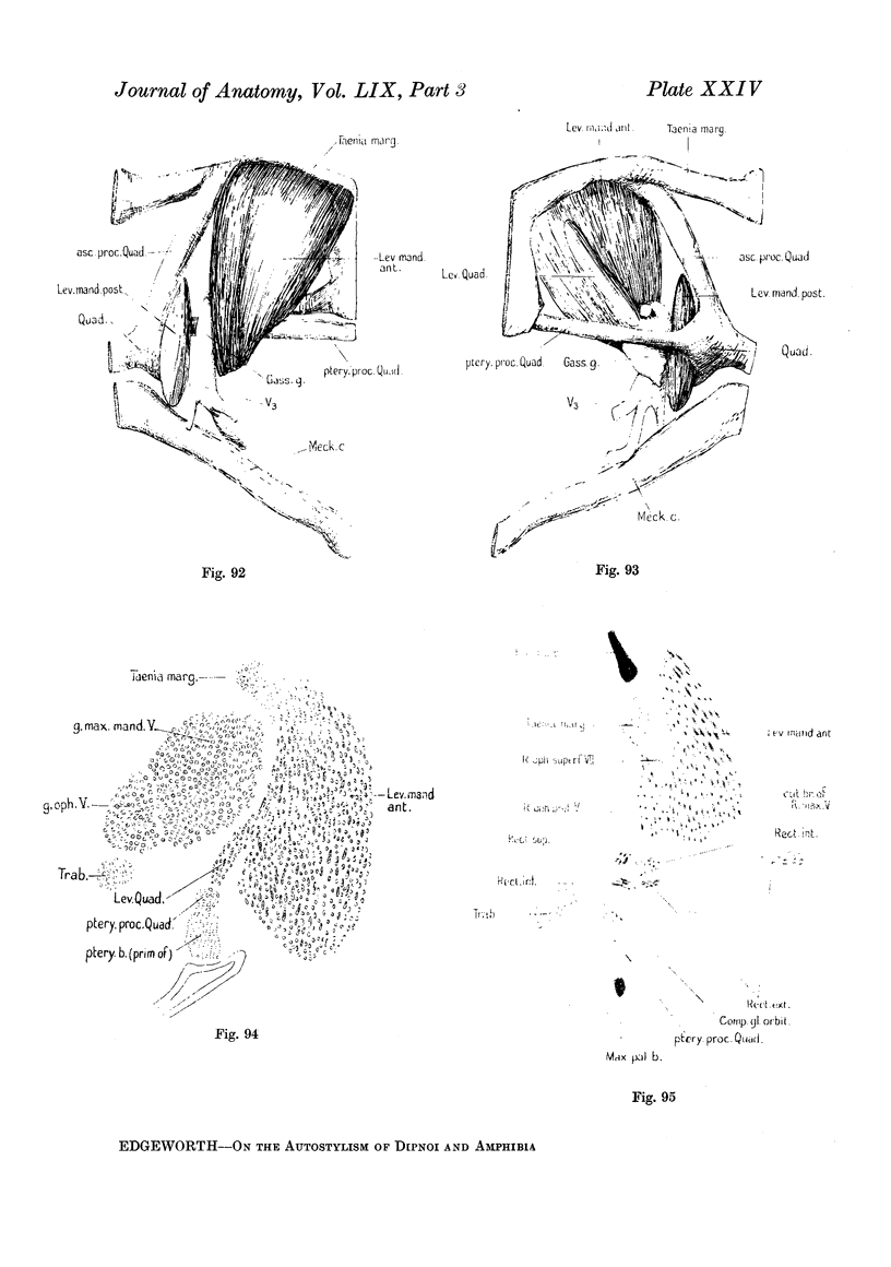 264-24