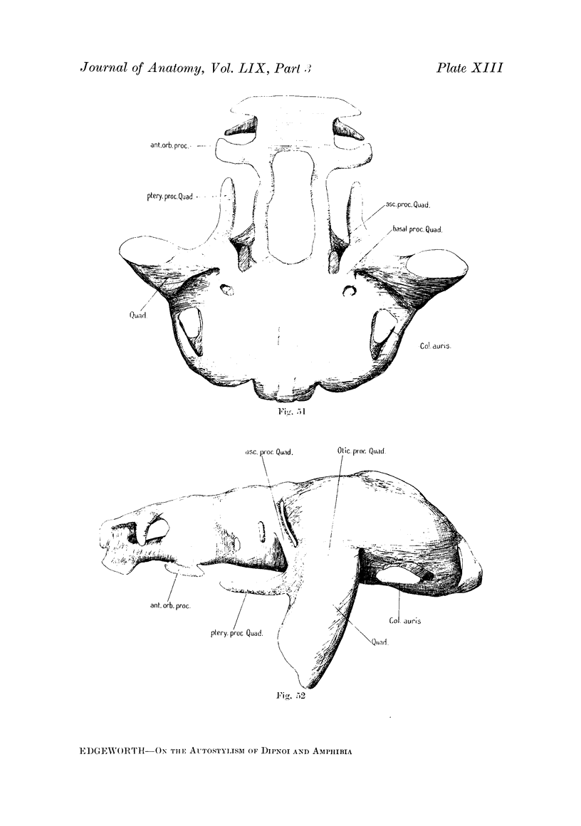 264-13