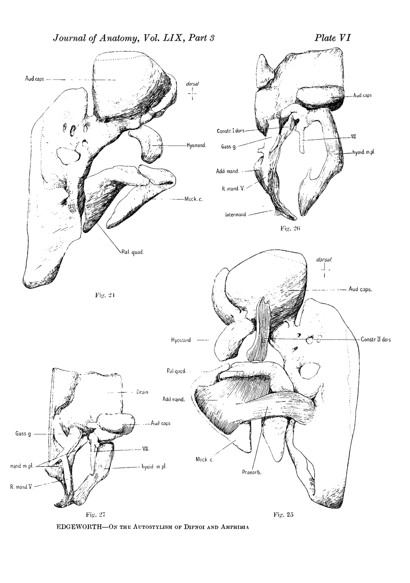 264-6