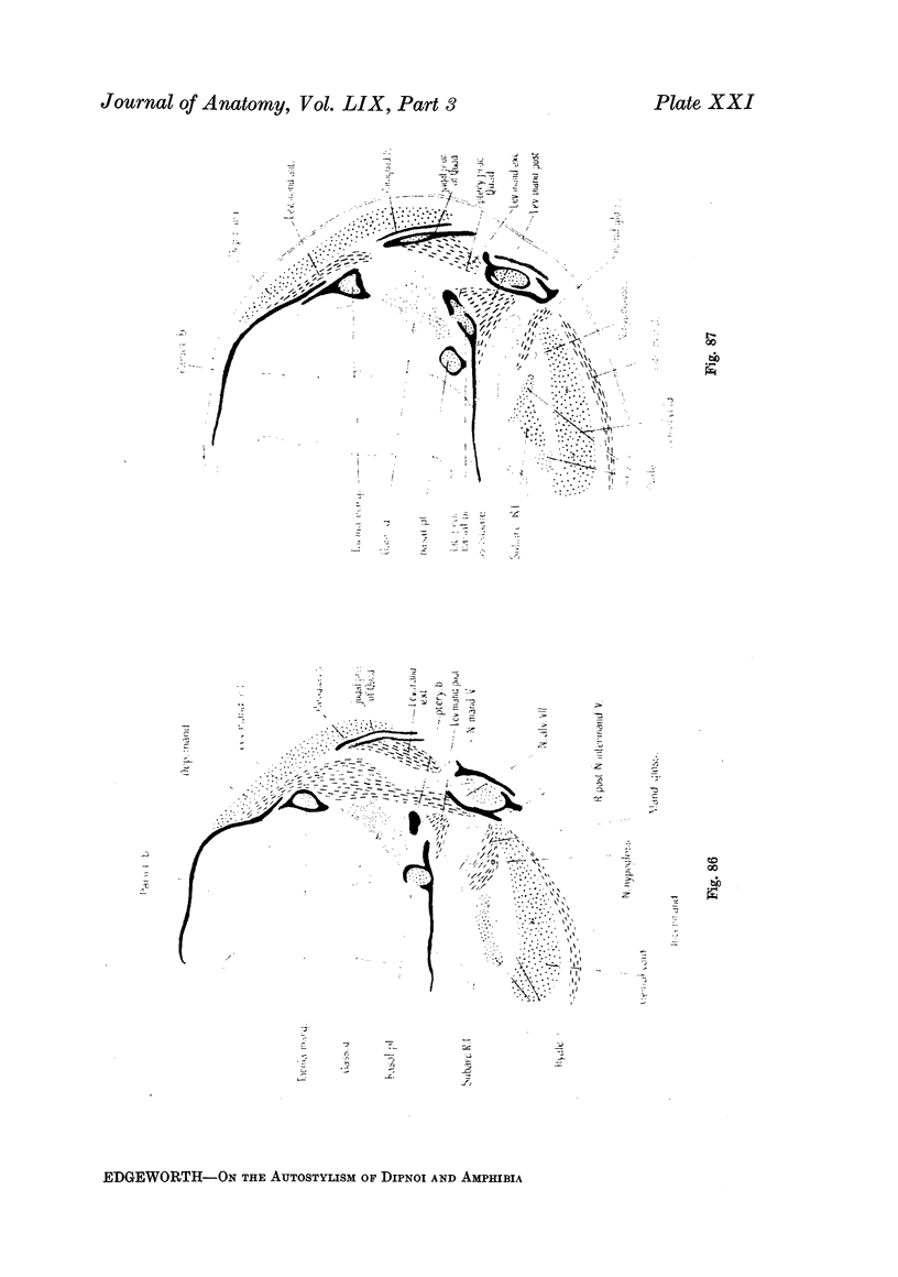 264-21