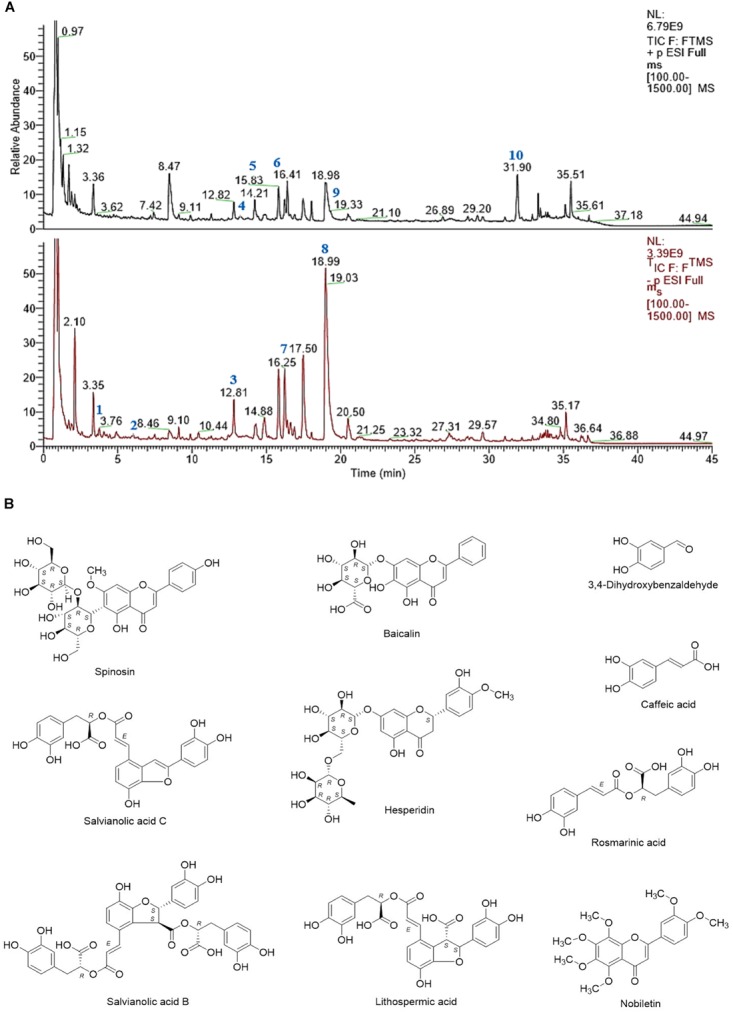 FIGURE 1