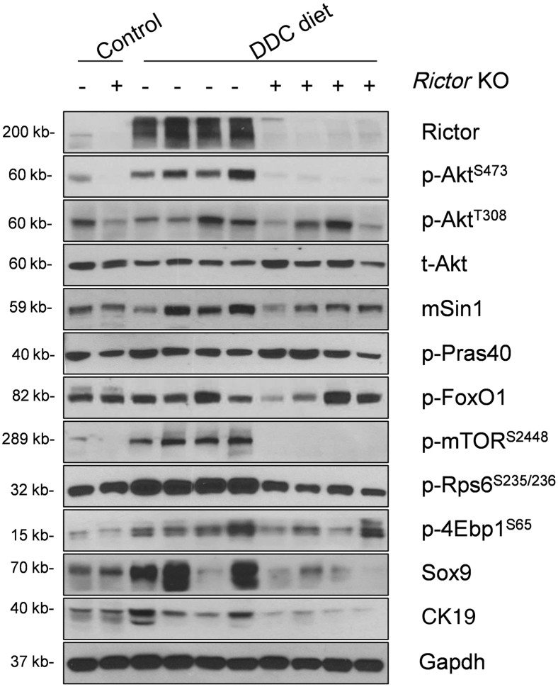 Figure 6