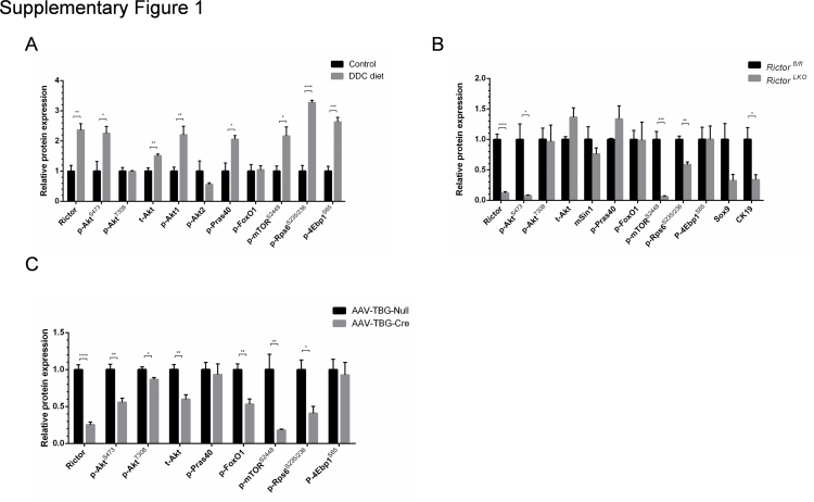 Supplemental Figure S1