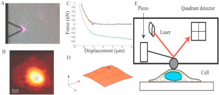 Figure 2