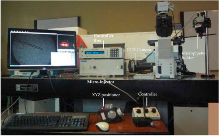 Figure 1