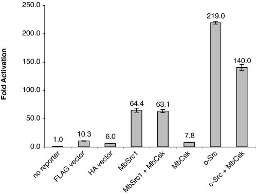 FIGURE 11.