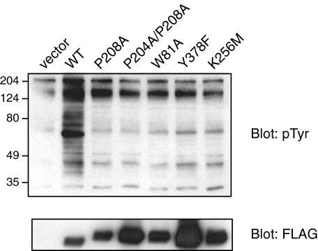 FIGURE 12.