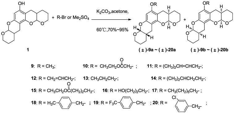 Scheme 2