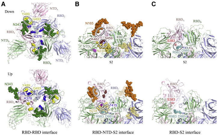 Figure 4