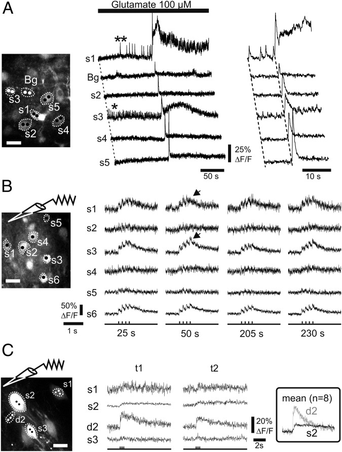 Fig. 4.