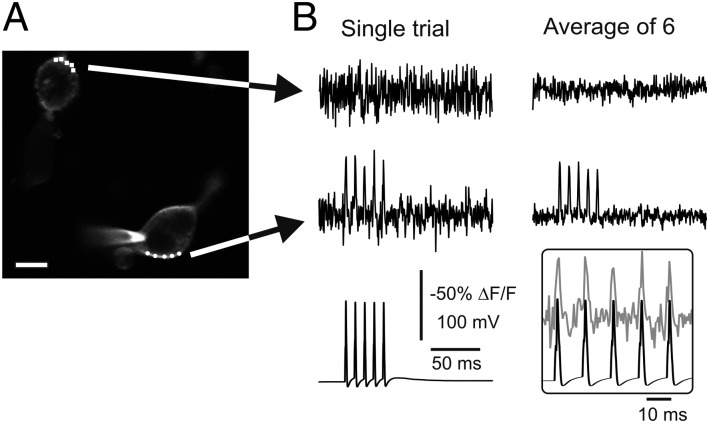 Fig. 3.