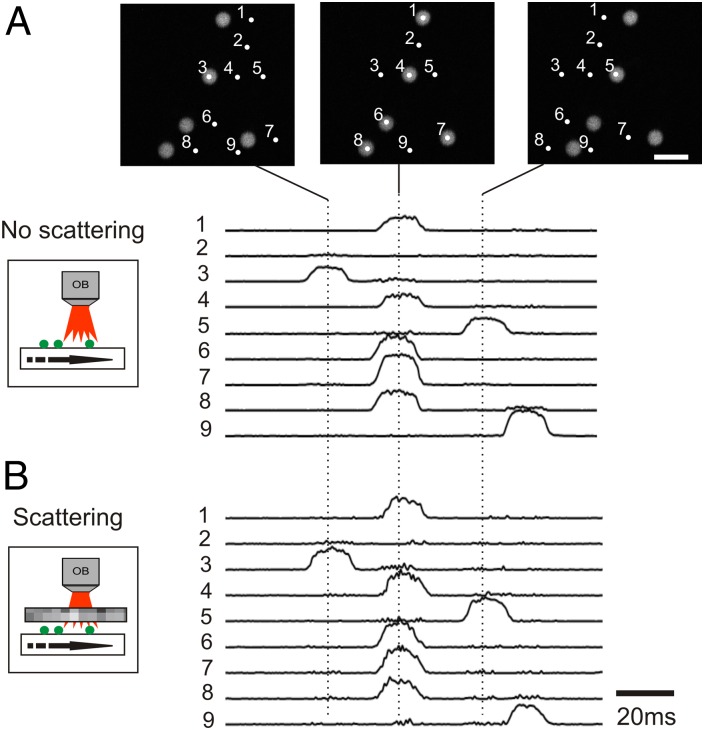 Fig. 2.