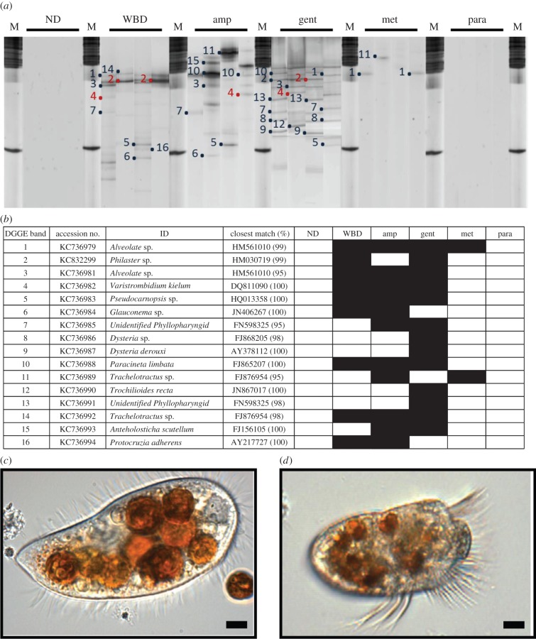 Figure 2.