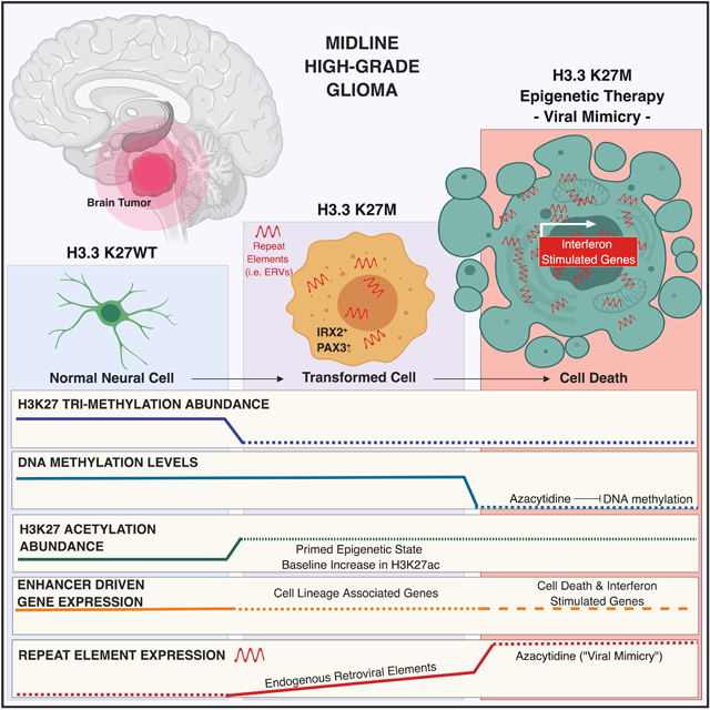 graphic file with name nihms-1527233-f0001.jpg