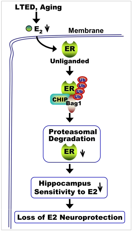 Fig. P1.