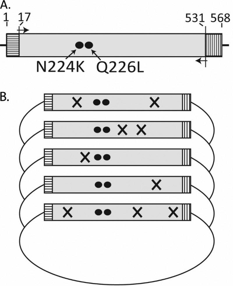 FIG 1