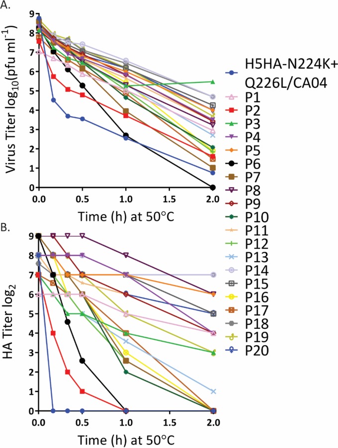 FIG 4