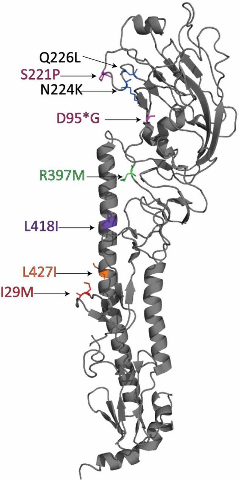 FIG 5