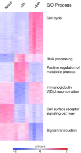 Figure 6.