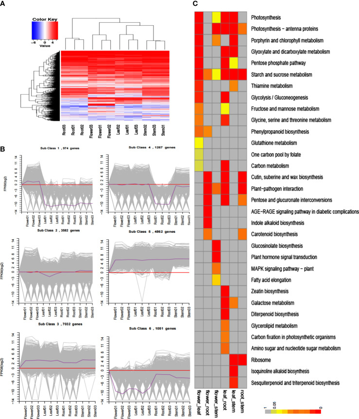 Figure 2