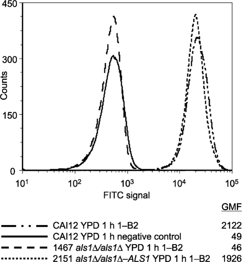 Fig. 2.