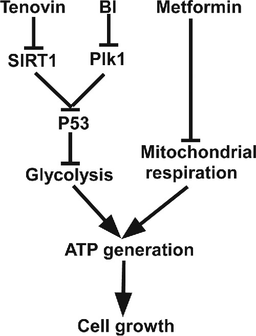 Figure 7.