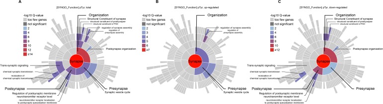 Figure 4—figure supplement 1.