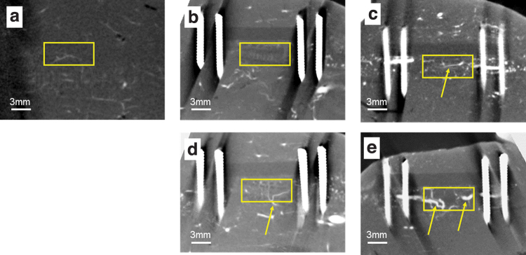 FIG. 6.