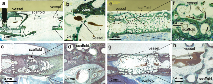 FIG. 7.