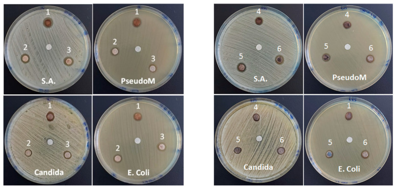 Figure 7