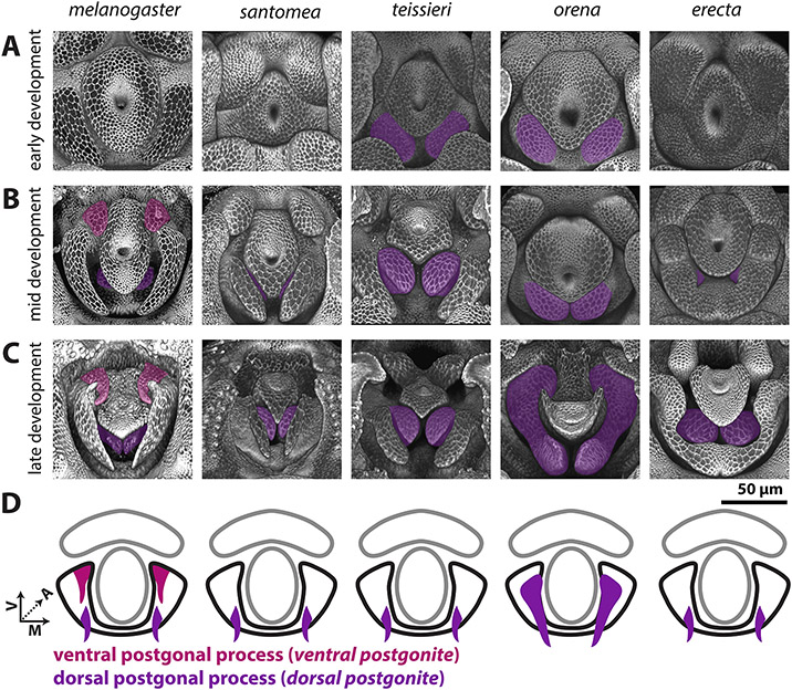 Figure 4: