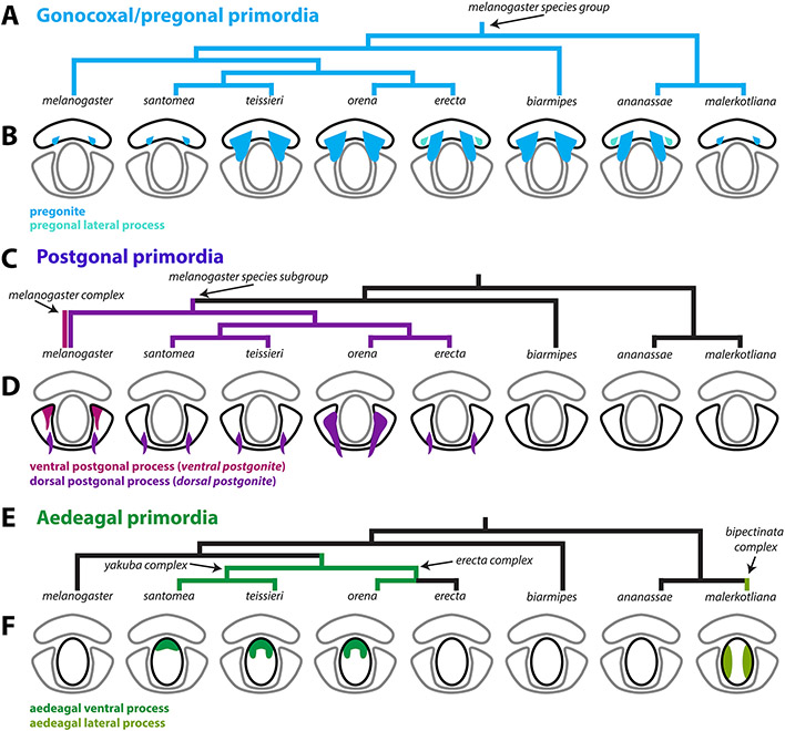 Figure 6: