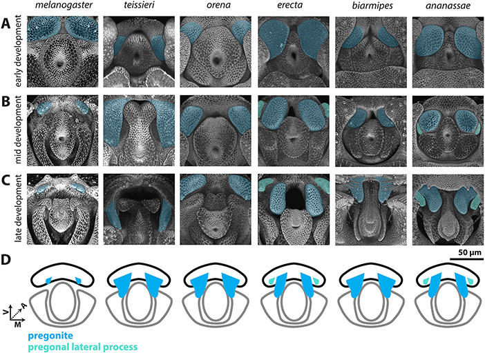 Figure 3: