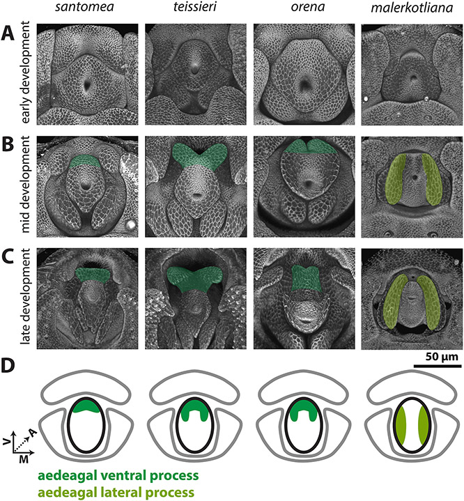 Figure 5: