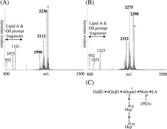 FIG. 7.