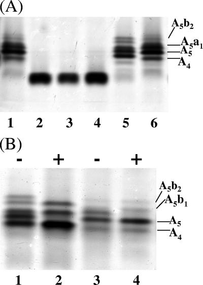 FIG. 3.