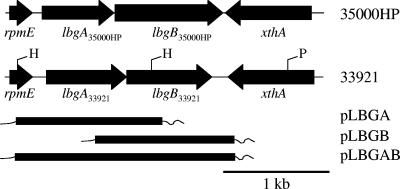 FIG. 2.