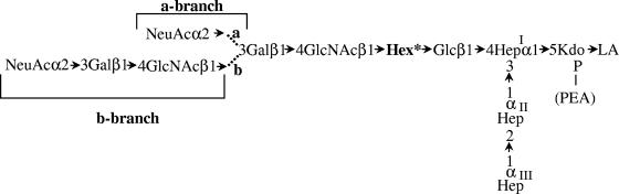 FIG. 5.