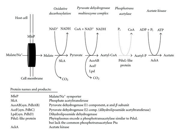 Figure 9