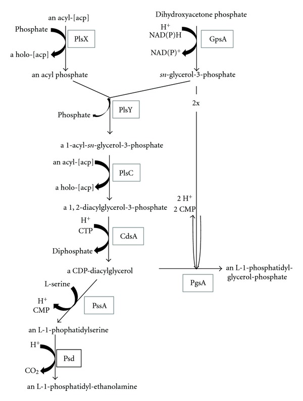 Figure 12