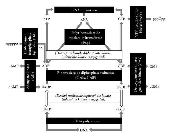 Figure 11