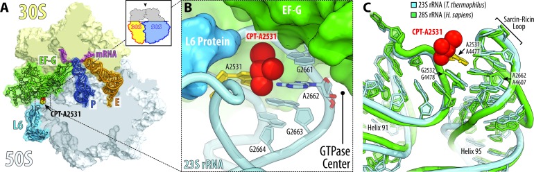 Figure 6.