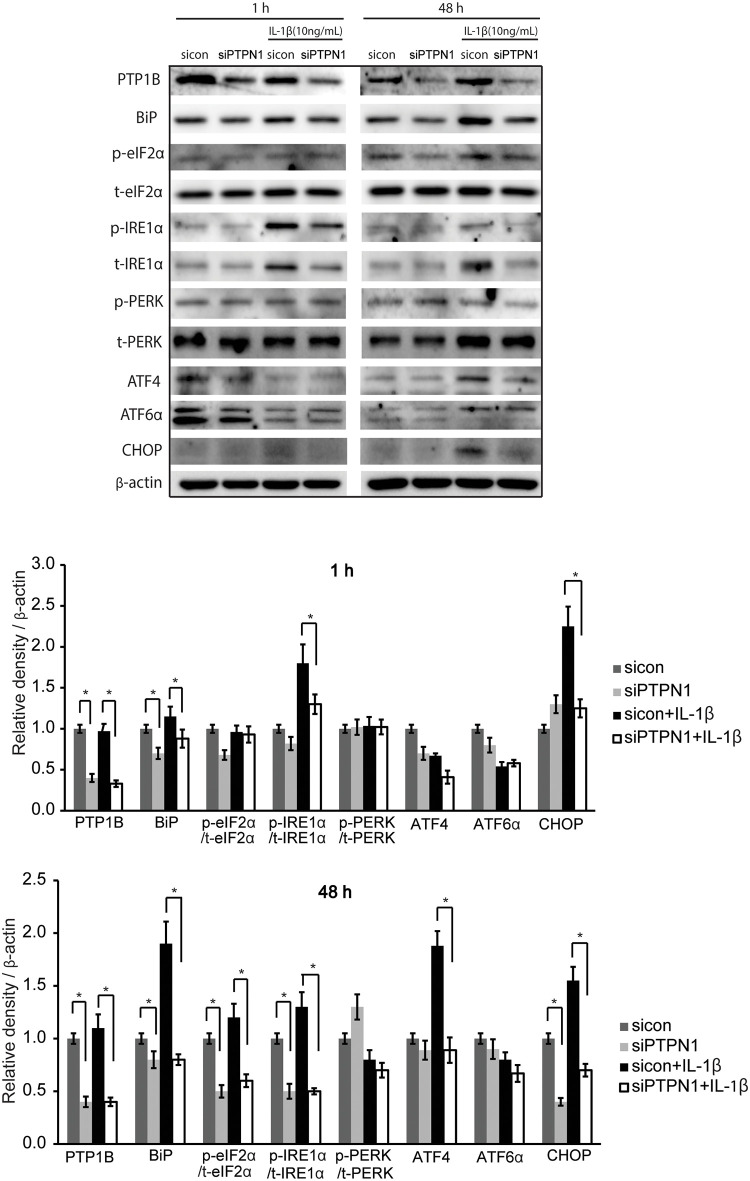 Fig 5