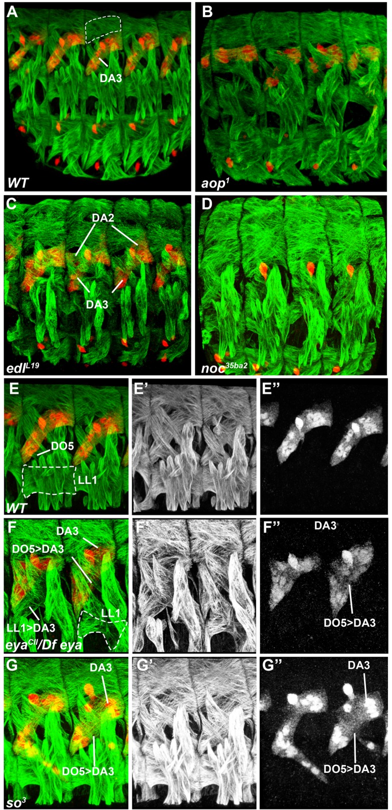 Figure 2—figure supplement 2.